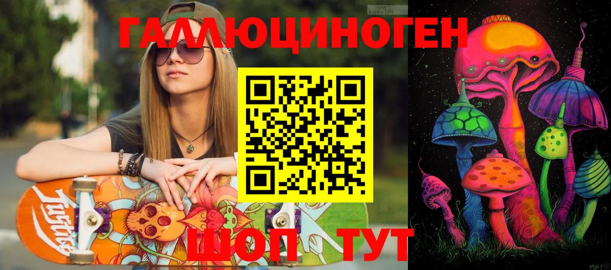 Черняховск  Псилоцибиновые грибы Psilocybe  наркота  Вход с VPN 
