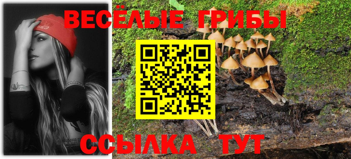 Псилоцибиновые грибы MAGIC MUSHROOMS Черняховск